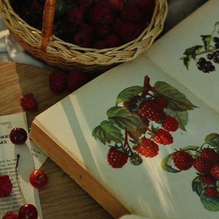 Farmer's Palette: Diverse Berry Mix